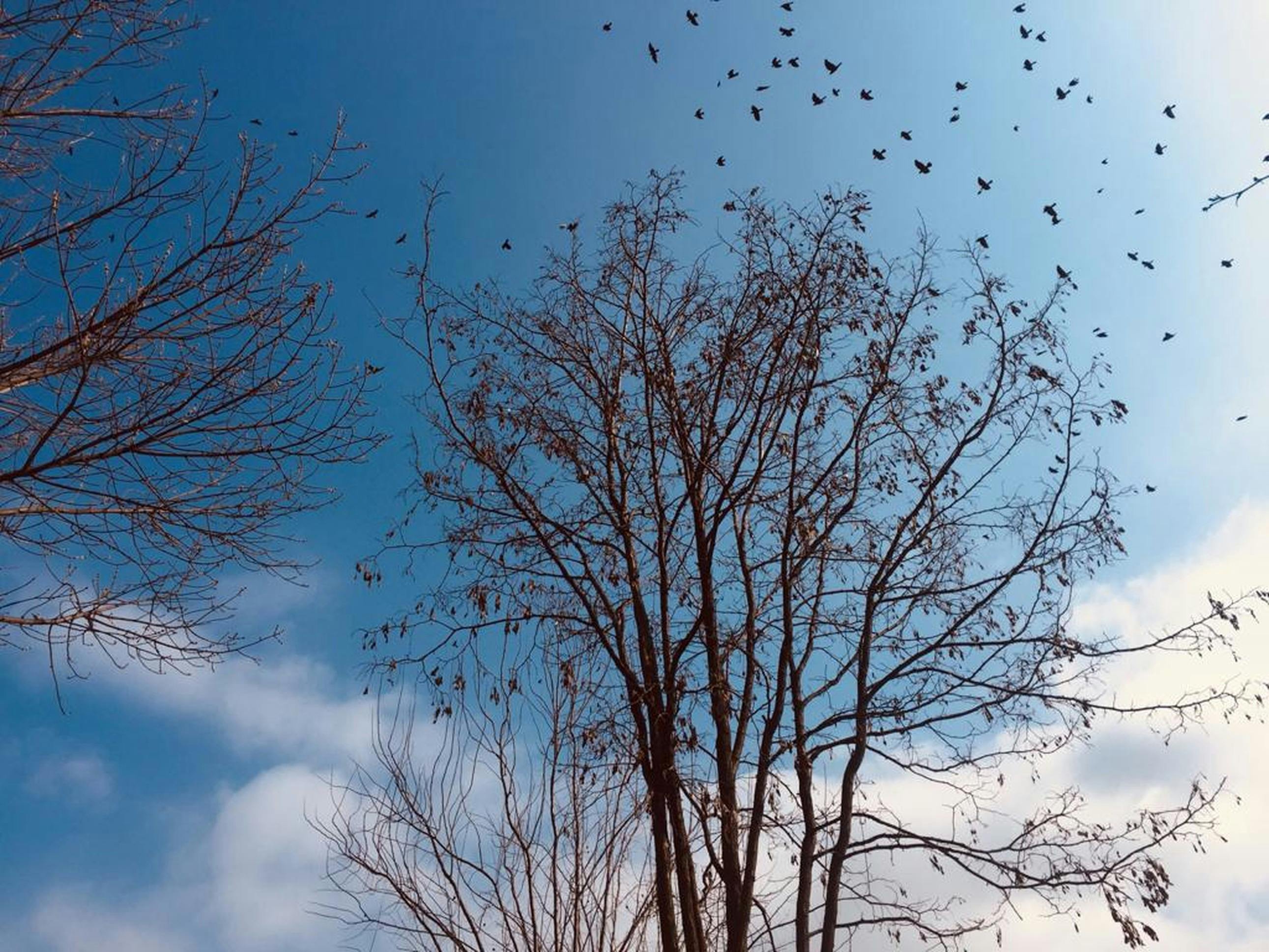 2024年养老服务补贴政策最新解读